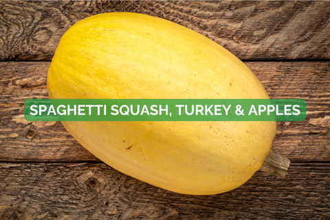 Spaghetti Squash Turkey Baby Puree
