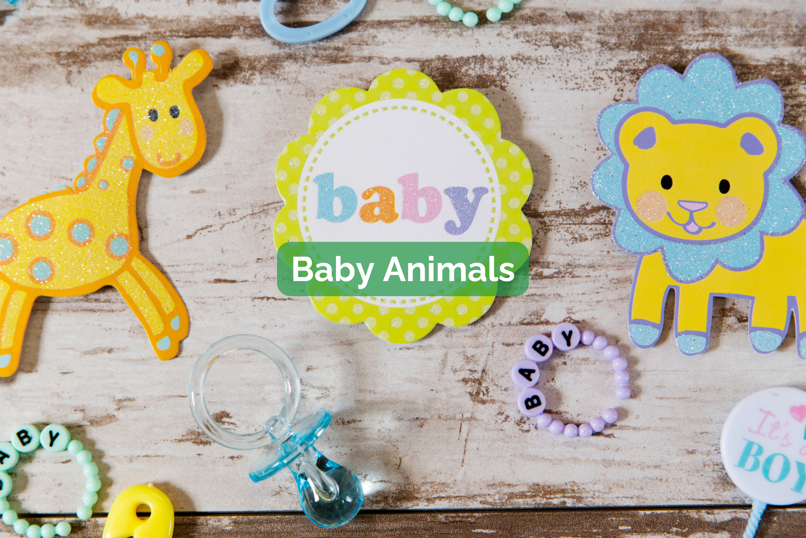 Spring Baby Shower Theme with Baby Animals