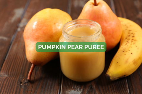 Pumpkin Organic Baby Puree