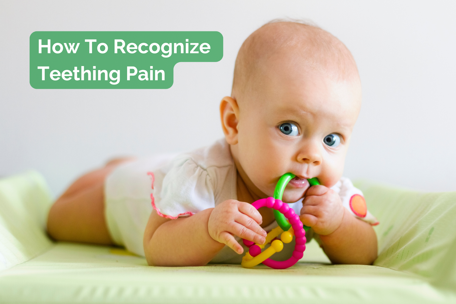Teething Tips for Summertime