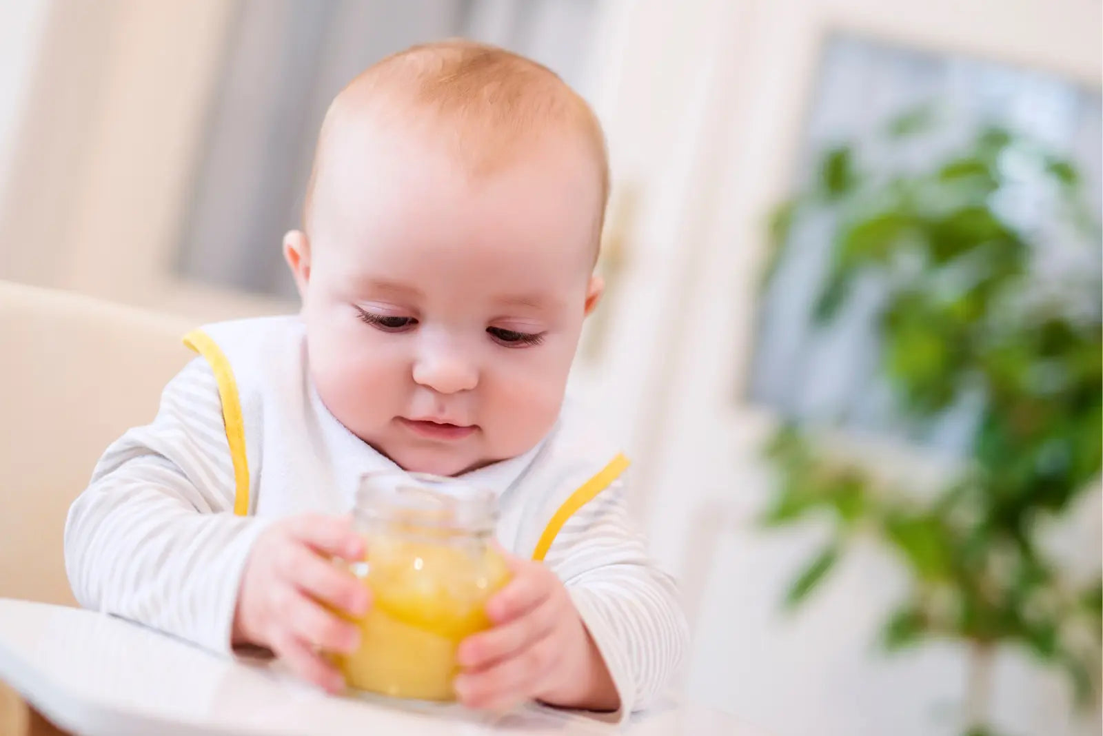 The Importance of Sugar Free Baby Food & Formula - Organicbabyfood.shop