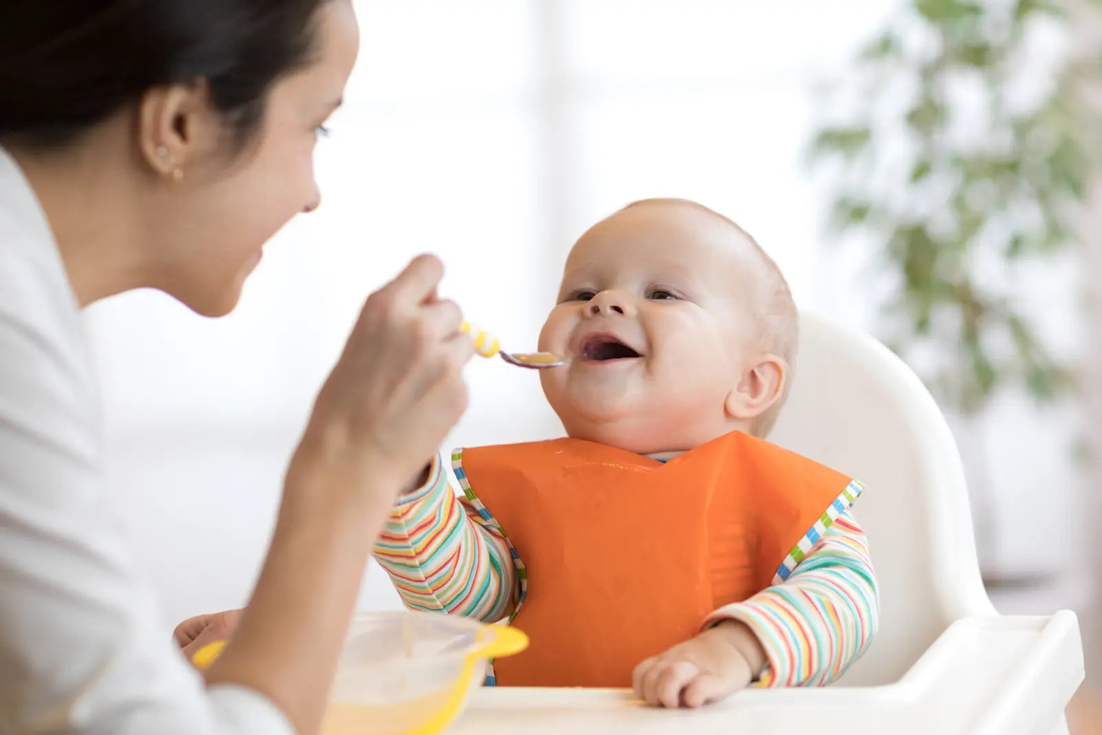 Warming Baby Foods For Wintertime